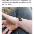 commented item thumbnail