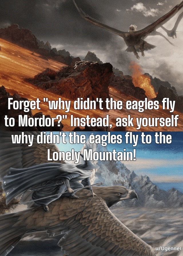 Forget Mordor, why didn’t the eagles help at Lonely Mountain? - meme