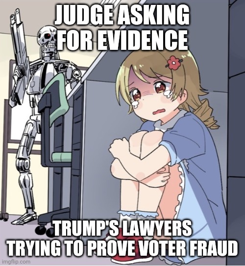 Trump 2020 Election Lawsuit on Voter Fraud - meme