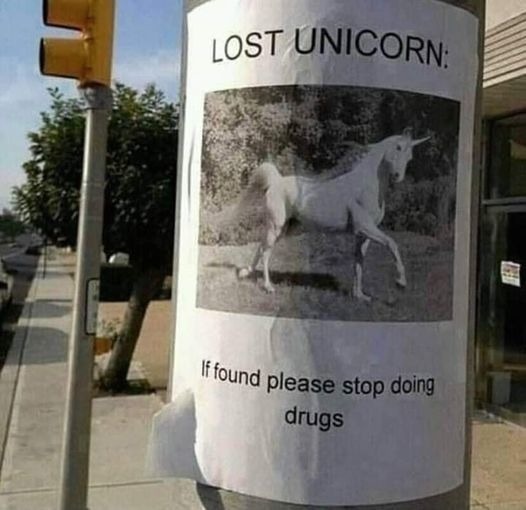Lost Unicorn - meme