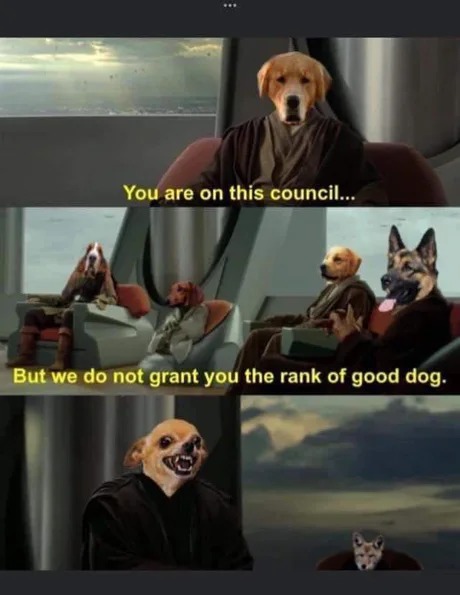 Not a good doggo - meme