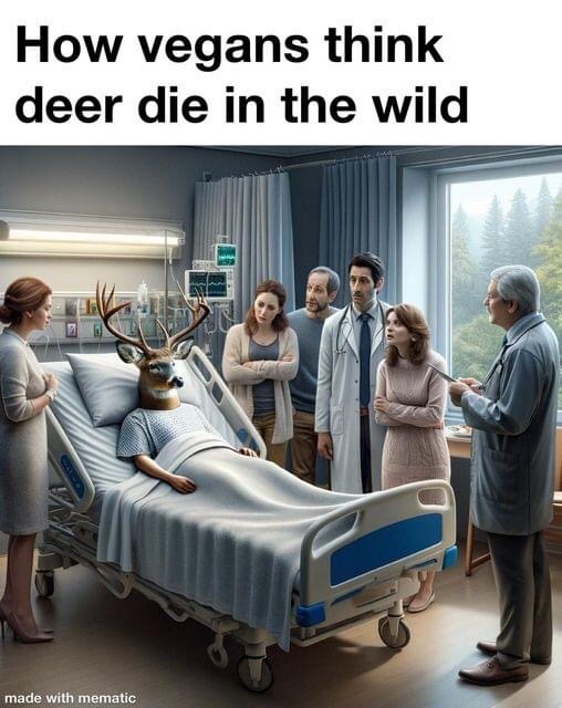 Dear deer... - meme