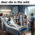 Dear deer...