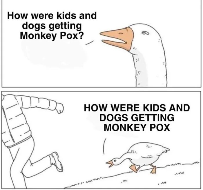 Good question - meme