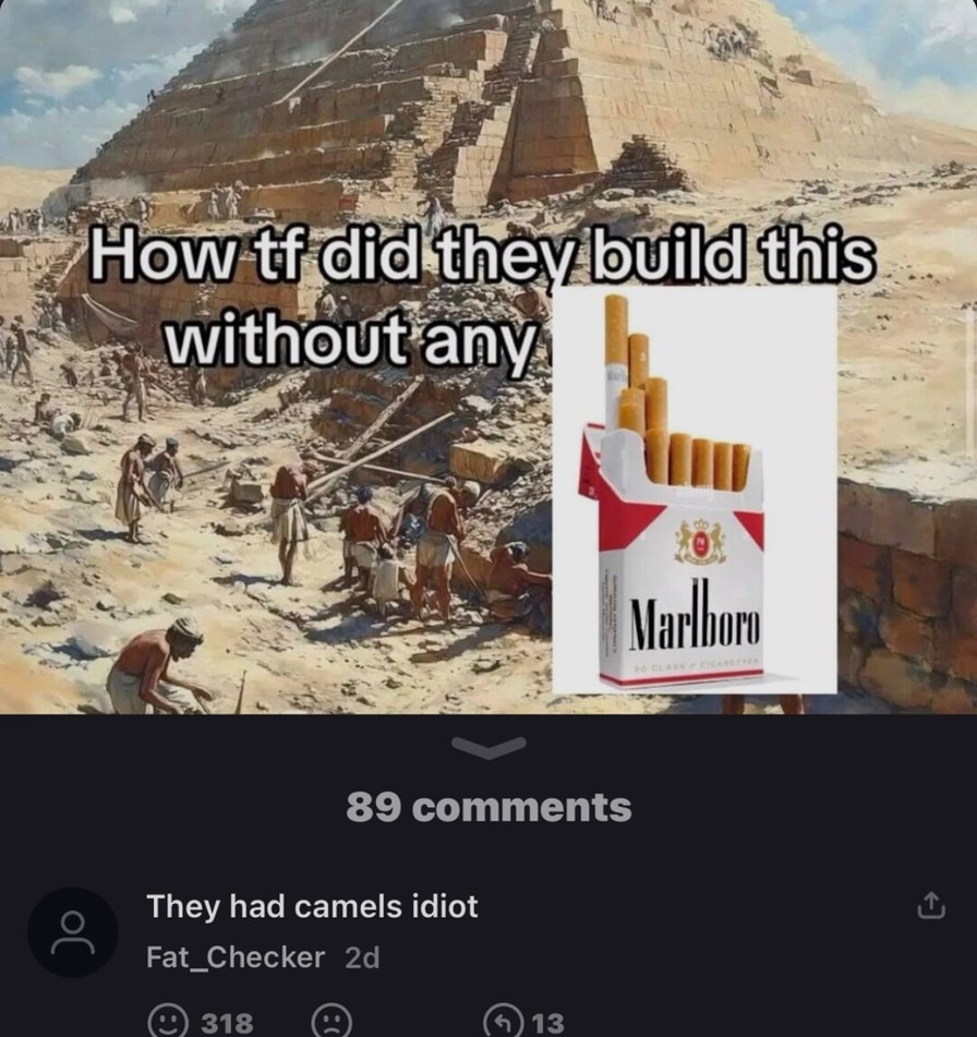 How did they even build this? Camels, bro, camels - meme