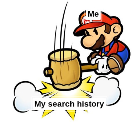 Me clearing my search history be like... - meme