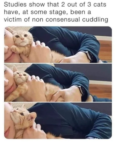 Non consensual cuddling - meme