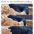 Non consensual cuddling