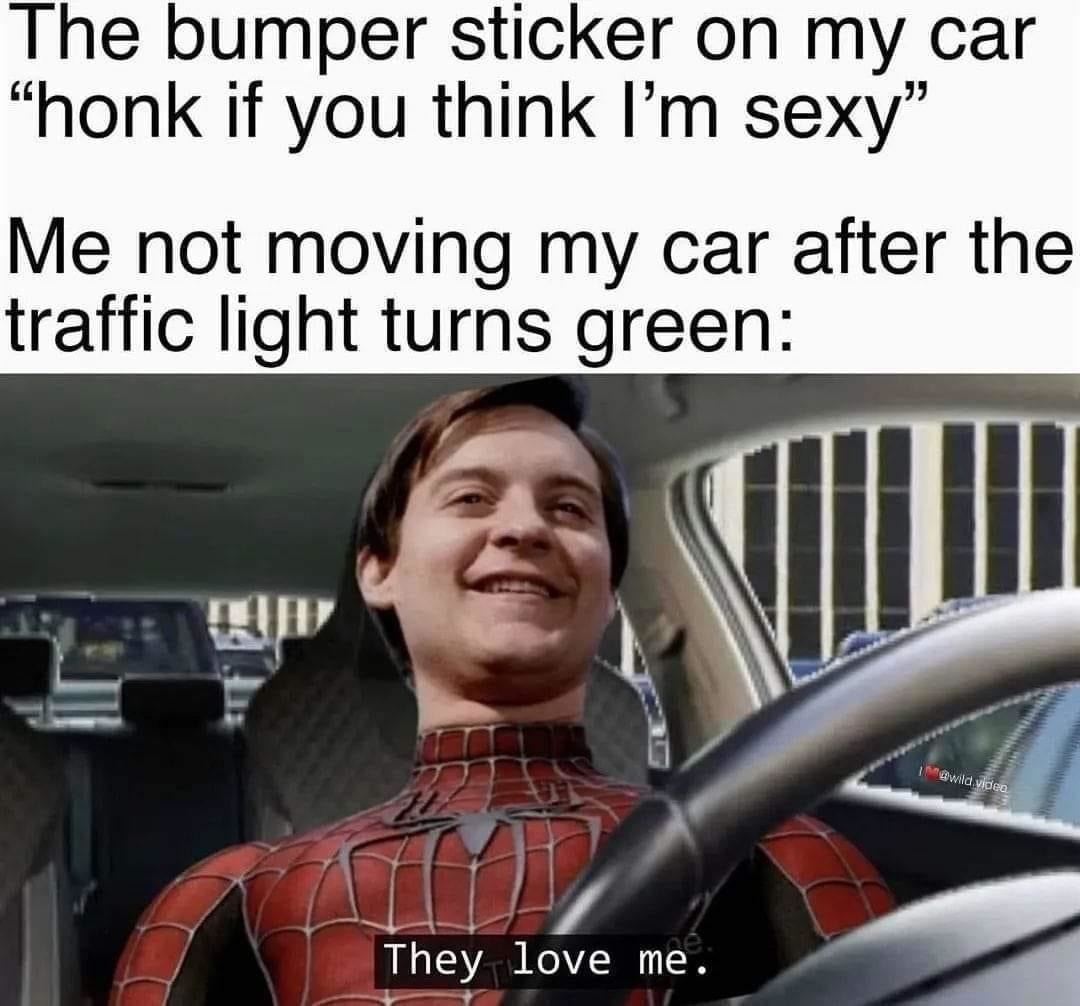 If you think I'm sexy, honk. Me at a red light refusing to move - meme