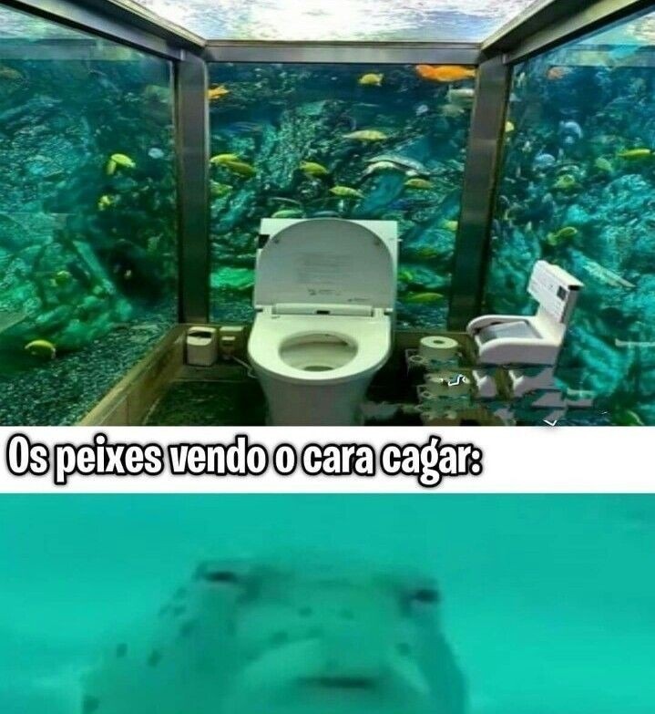 Kkkkkkkkkkkkkkkkkkkkkkkkkkkkkkkkkkkkkkkkkkkkkkkkkkkkkkkkkkkkkkkkkkkkkkkkkkkk - meme