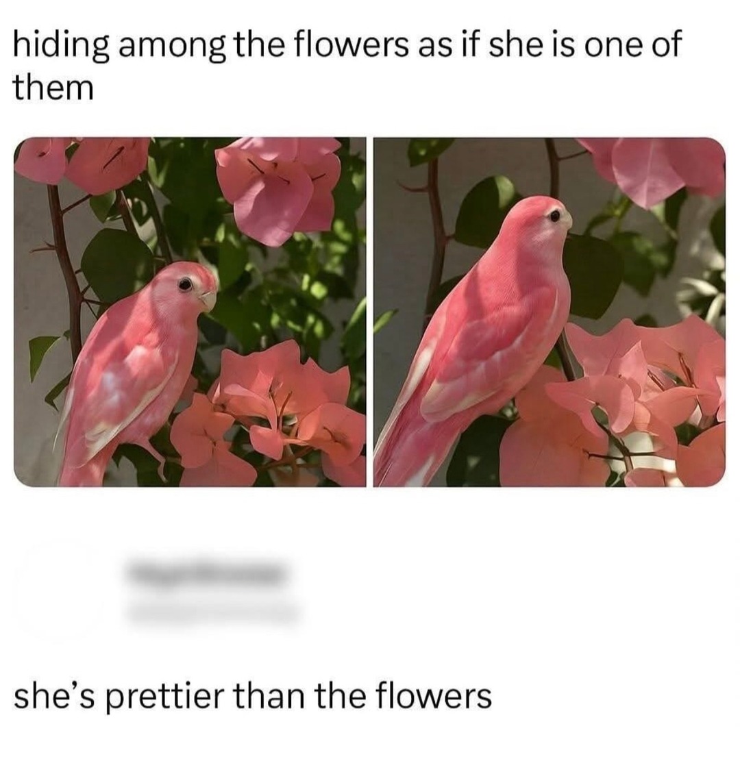 Blended into the flowers like she’s the final boss of spring - meme