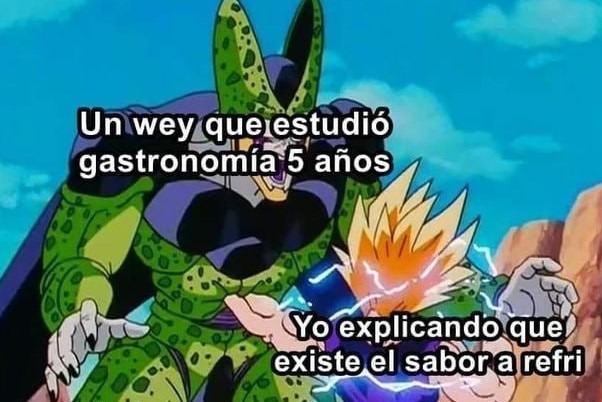 Sabor a refri - meme