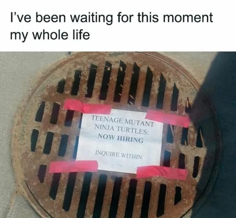 Ninja Turtles are hiring - meme
