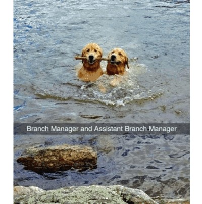 Ts a good branch - meme