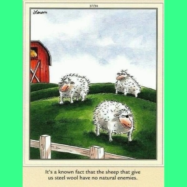 Gary Larson - meme