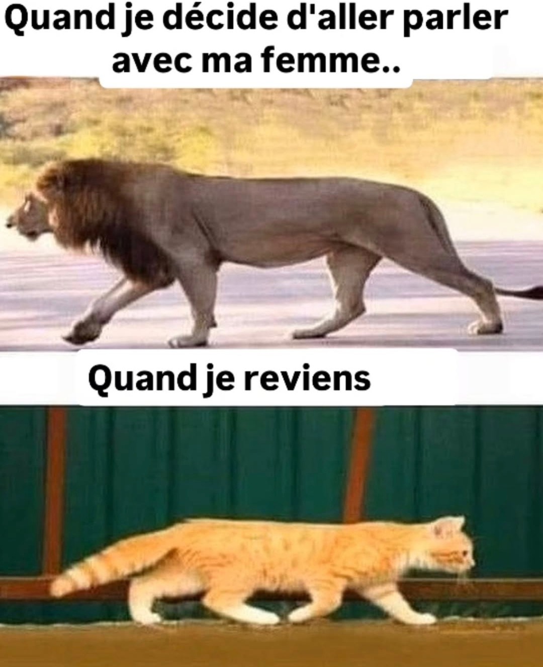 Quand je décide de parler à ma femme vs quand je reviens - meme