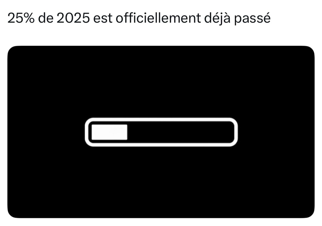 2025 est déjà passé à 25% et moi rien de fait - meme