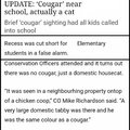 Ok but HOW did you think a house cat was a cougar