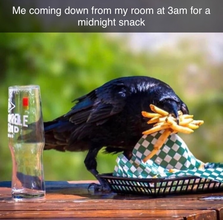 crow gets the big score - meme