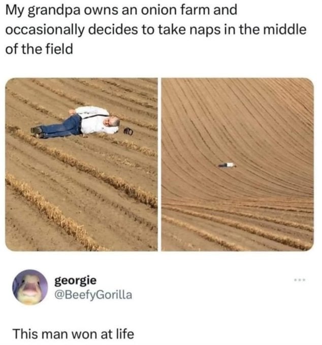The onion life - meme