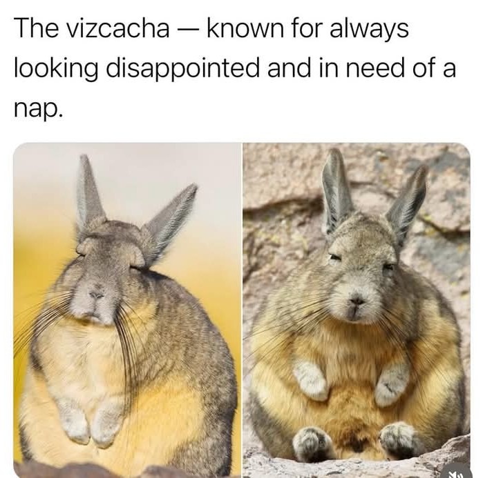 That's me - meme