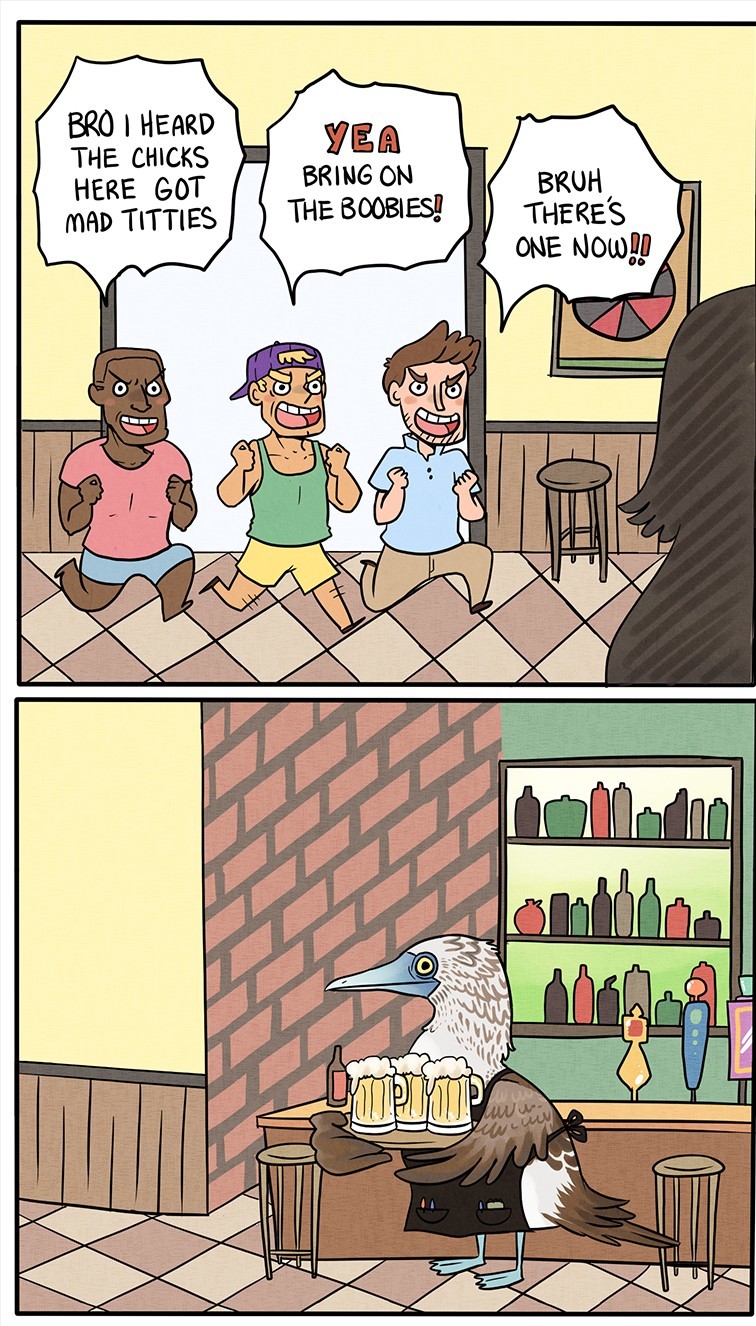 Booby is a bird - meme