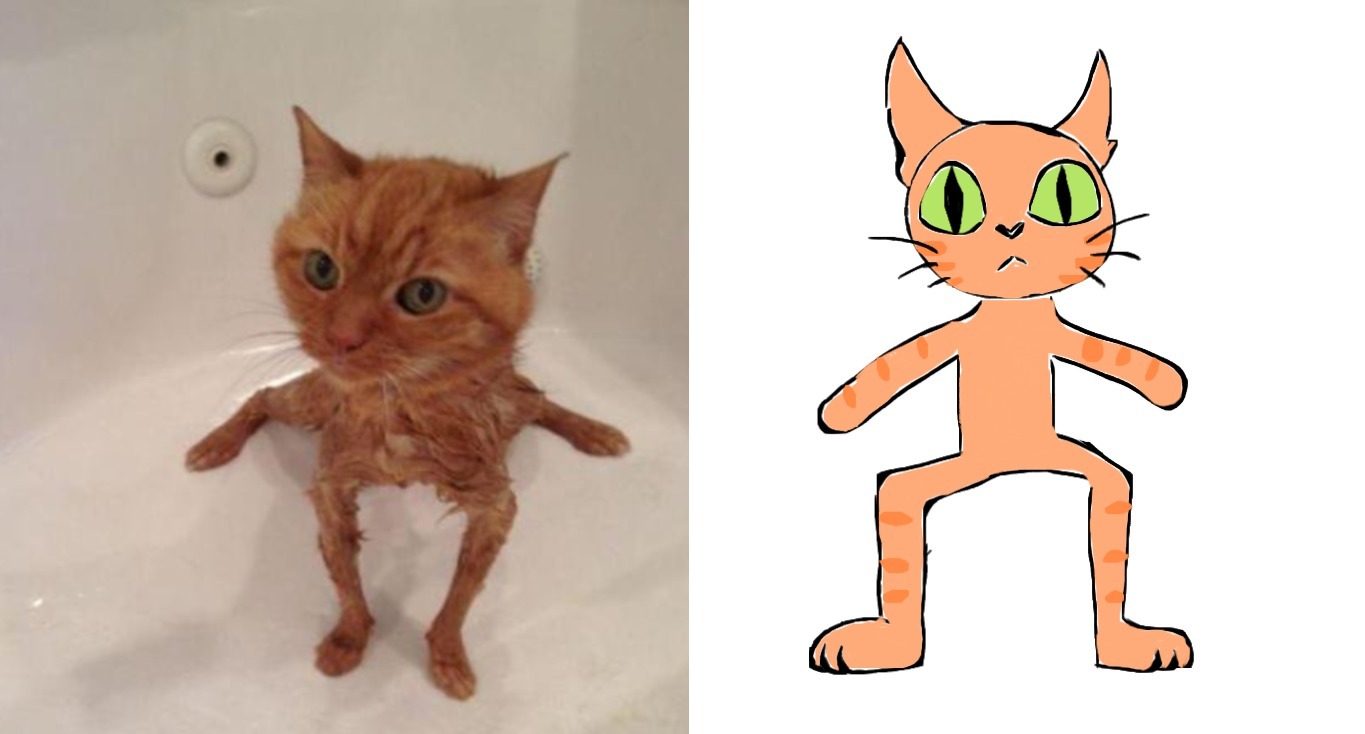I'm sorry this is how I saw the wet cat - meme