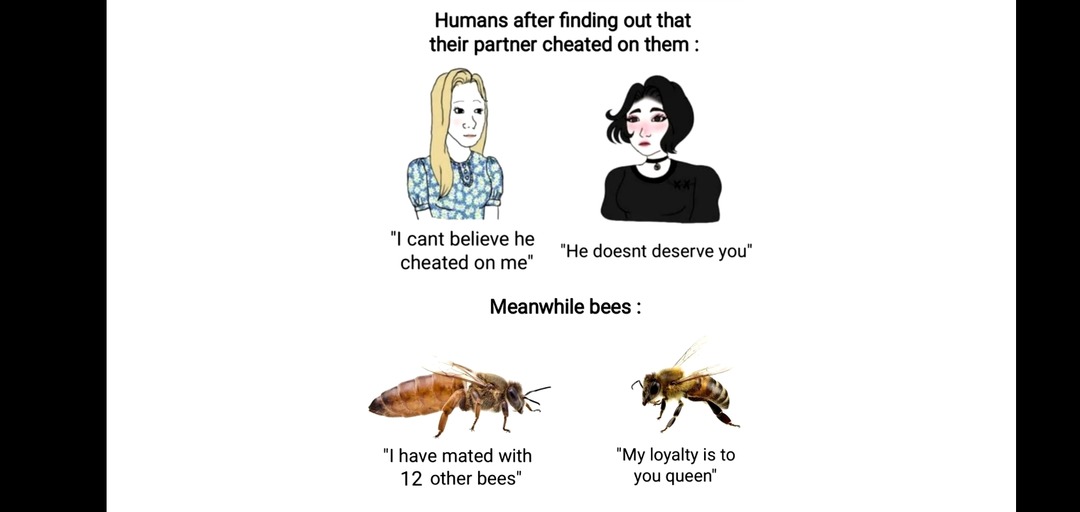 Bee - meme