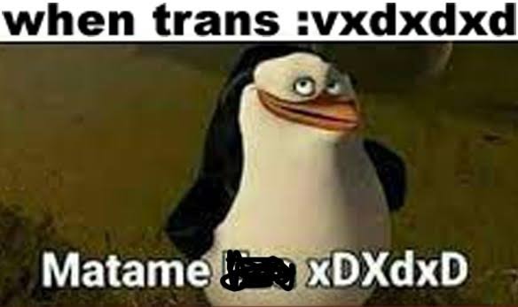 when trans matame - meme