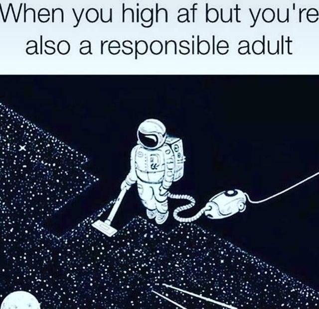 high af but you're also a responsible adult - meme