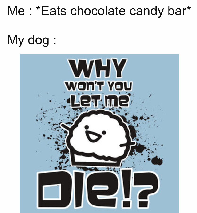 Any dog owner would understand - meme