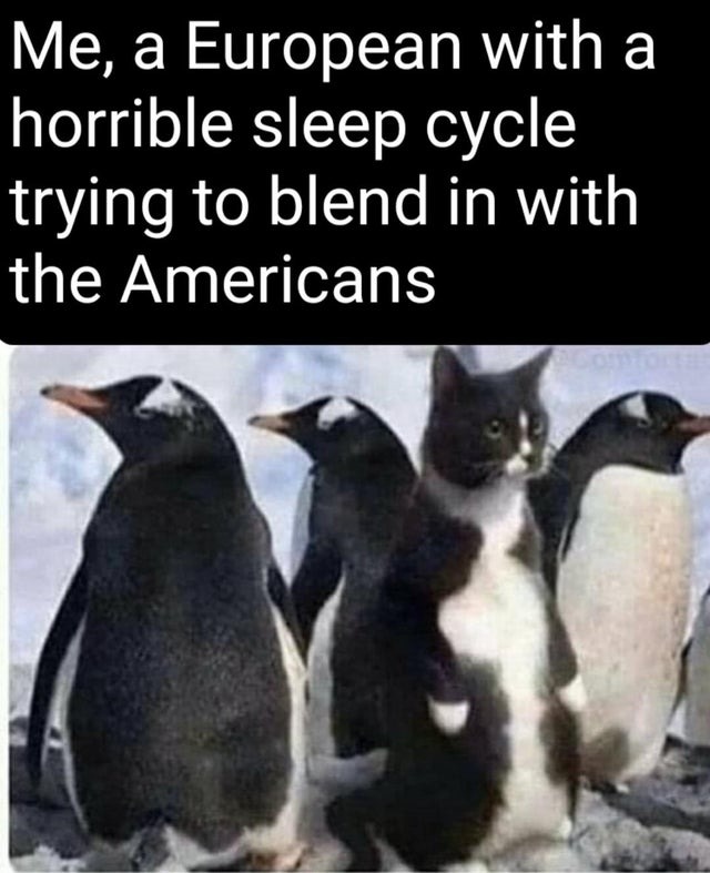 Me, a European with a horrible sleep cycle trying to blend in with the Americans - meme