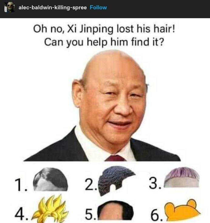 Oh no, Xi Jinping lost his hair! Can you help him find it? - meme