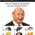 Oh no, Xi Jinping lost his hair! Can you help him find it?