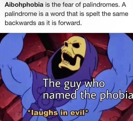 Aibohphobia is the fear of palindromes - meme