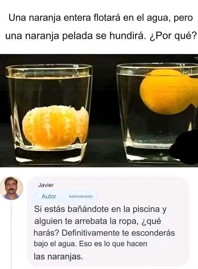 Javier se lució con la explicación - meme