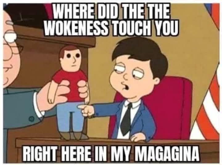 Wokeness - meme