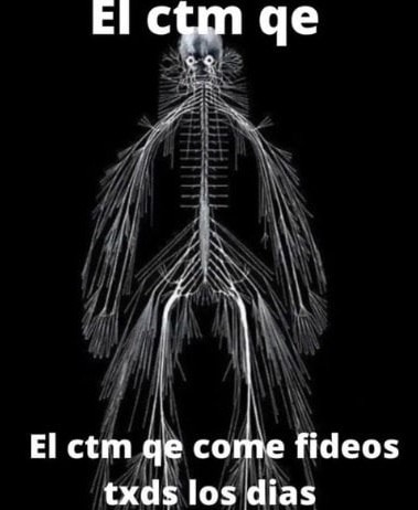 El compa que come fideos todos los días - meme
