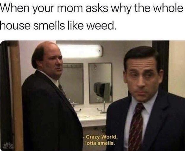 Crazy World, lotta smells - meme
