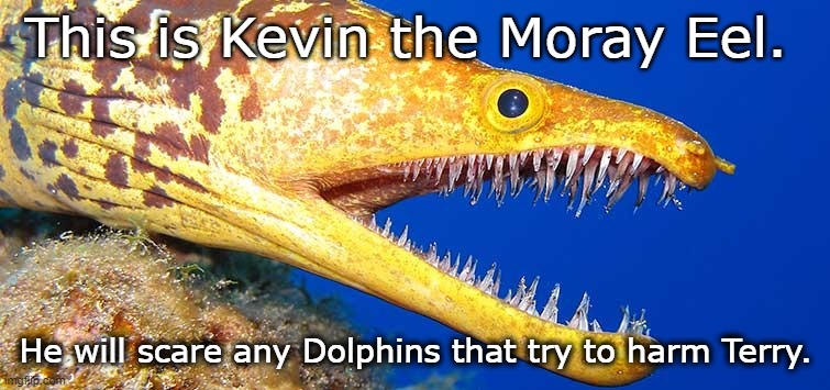 When an eel bites your thigh, and you bleed out and die, that's a moray. - meme