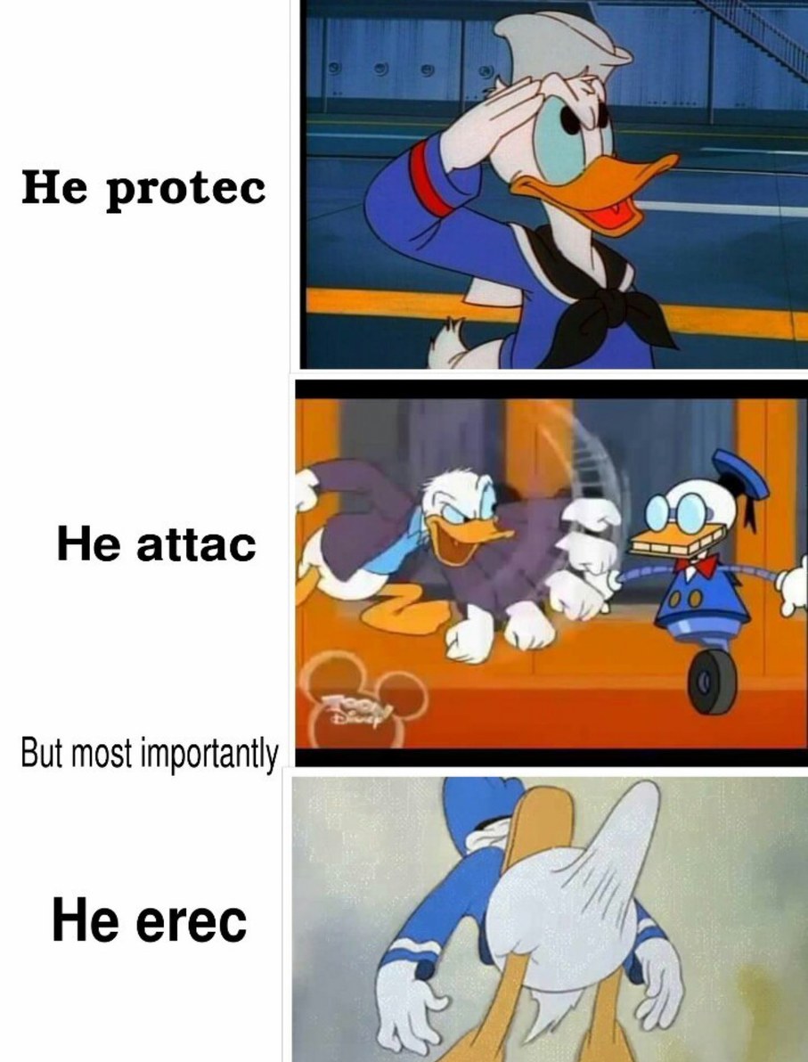 duck - meme