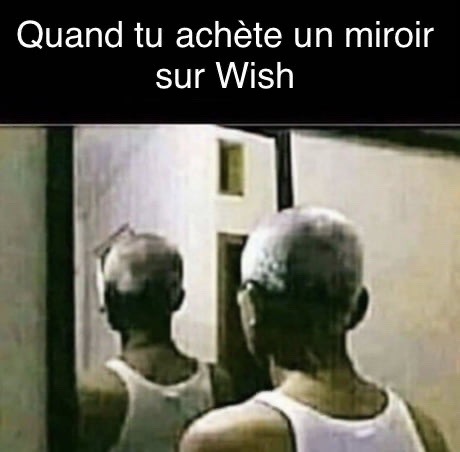 miroir wish  - meme