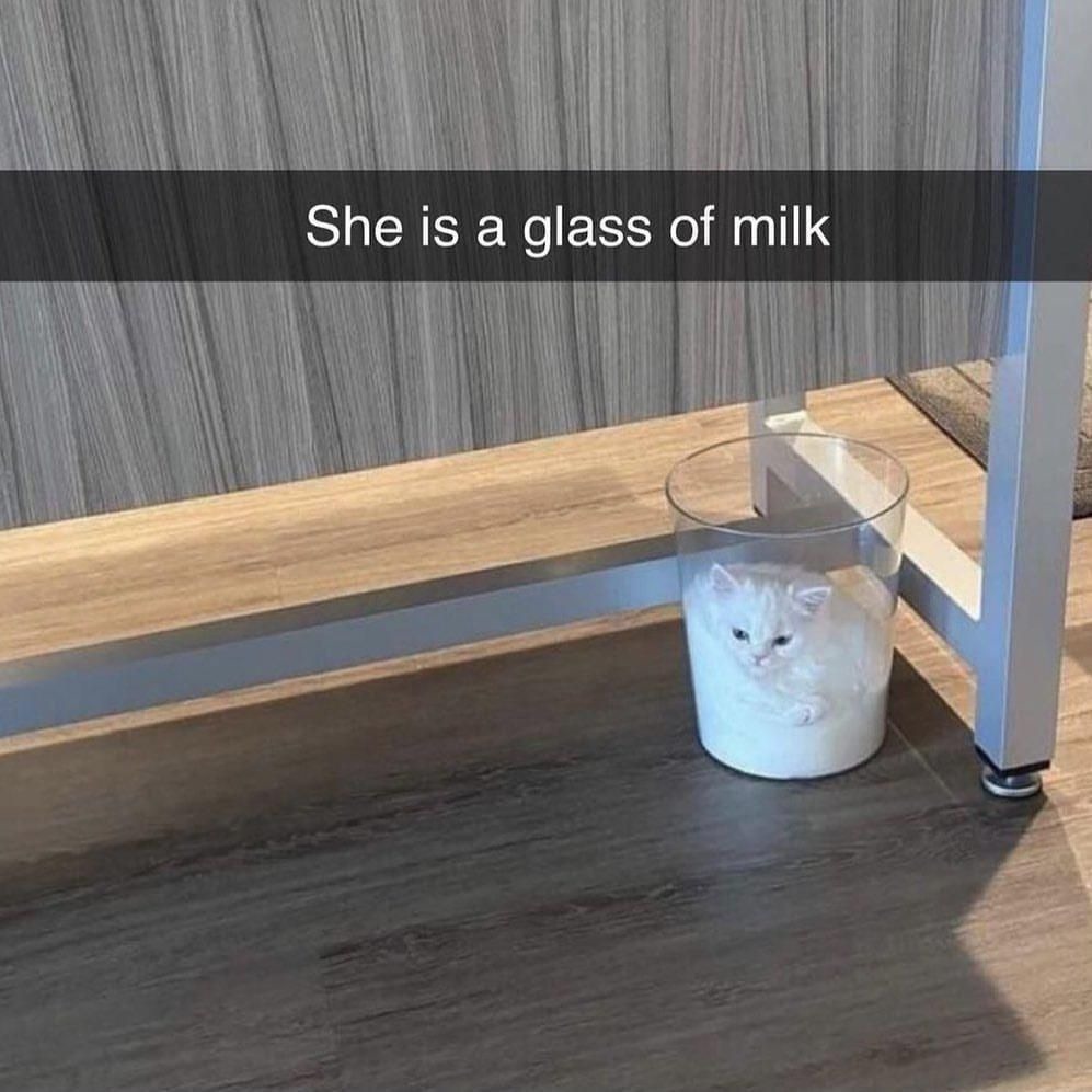 Ket milk - meme