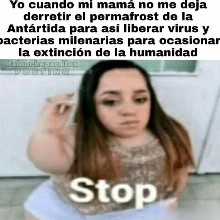 Stop - meme