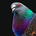 ai generated pigeon
