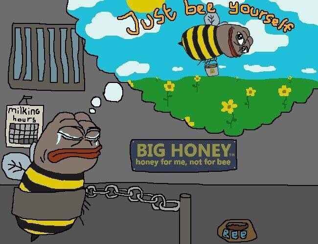 The best Bee memes :) Memedroid