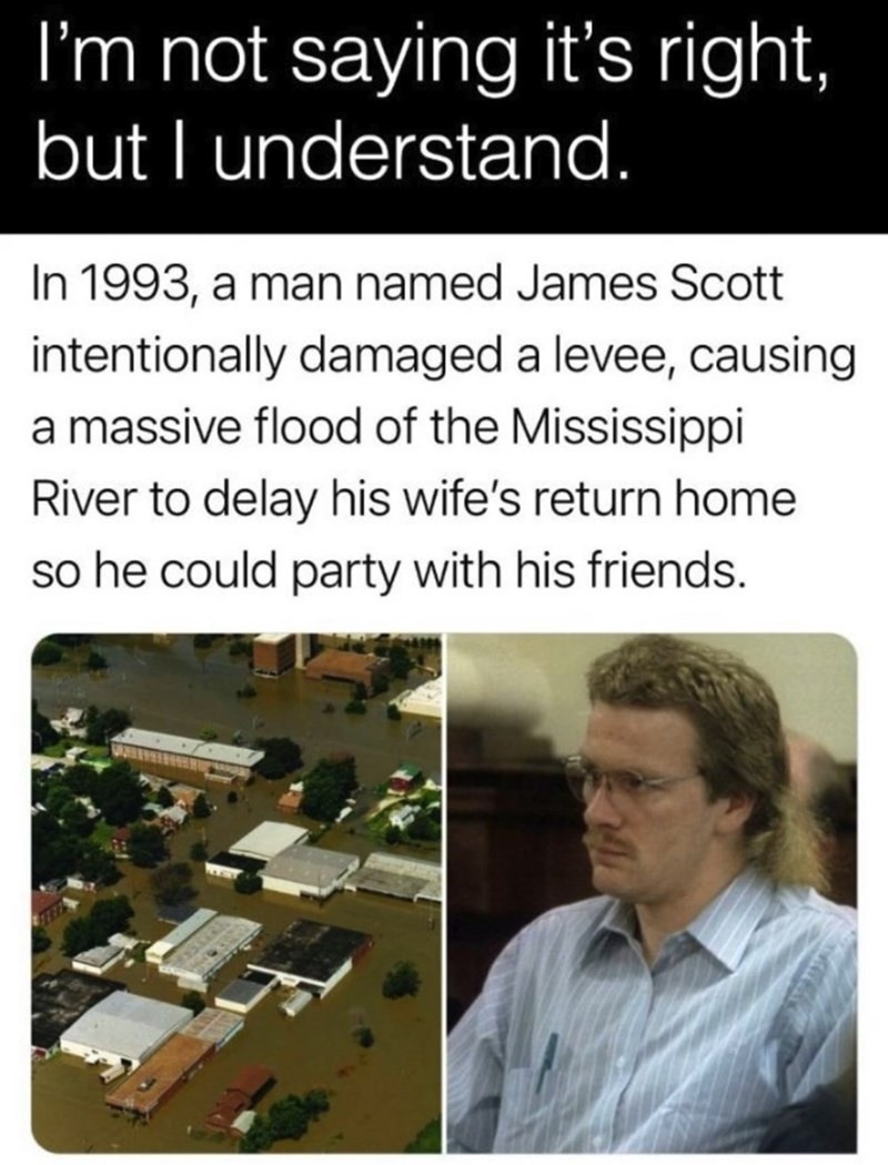 Flooded a whole river just to party - meme