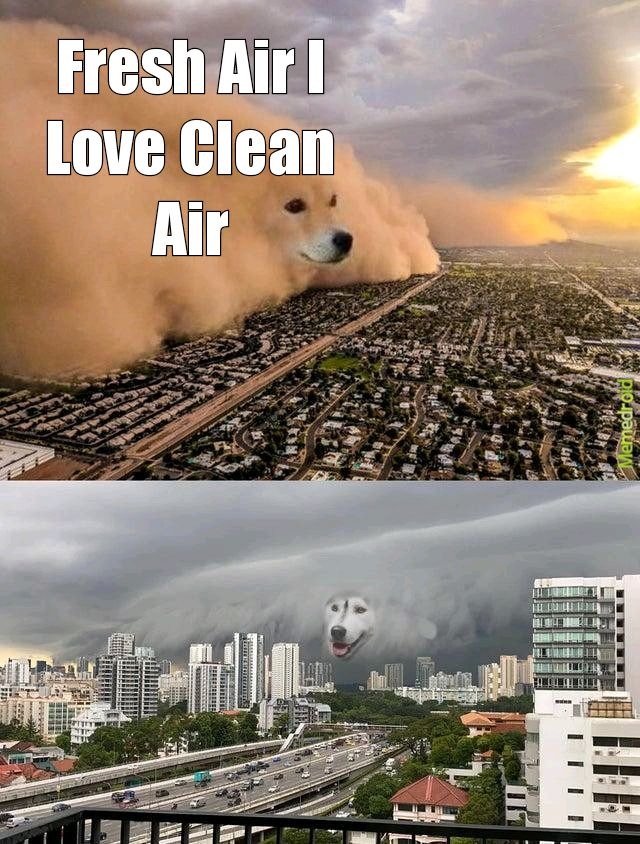 We need clean air - meme