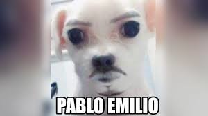 Pablo Emilio: - meme