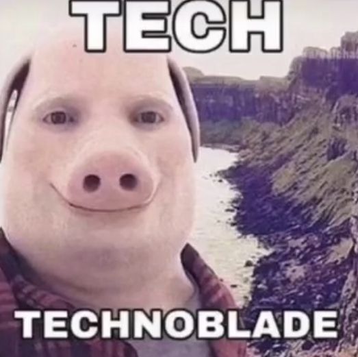 the actual picture of technoblade is  - meme